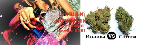 индика Балахна
