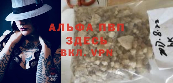 индика Балахна