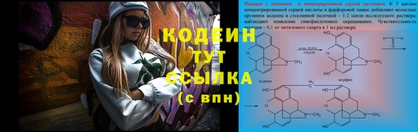 индика Балахна