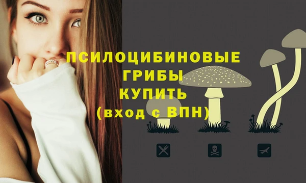 spice Балабаново