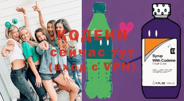 индика Балахна