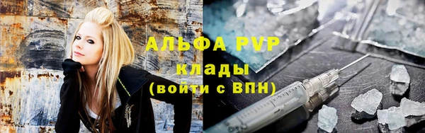 индика Балахна