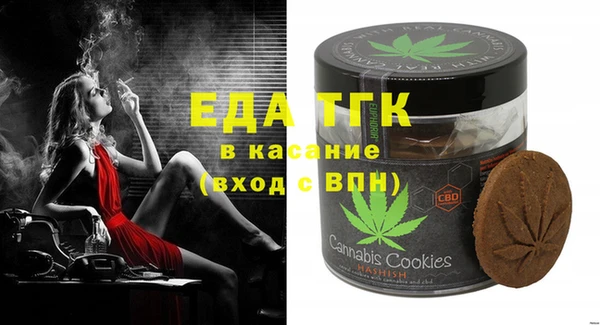 индика Балахна