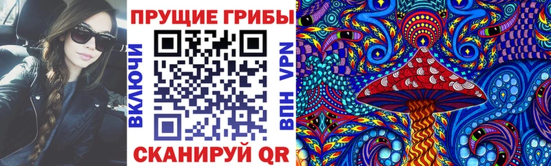 Псилоцибиновые грибы мицелий Купить где Горняк