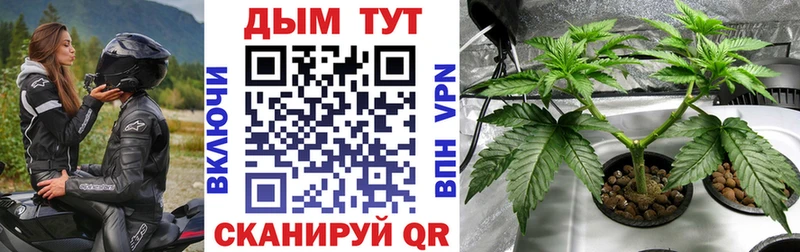 Купить  Горняк  Конопля гибрид 